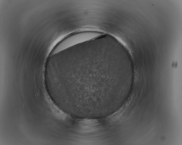 X0000090771325200708031644