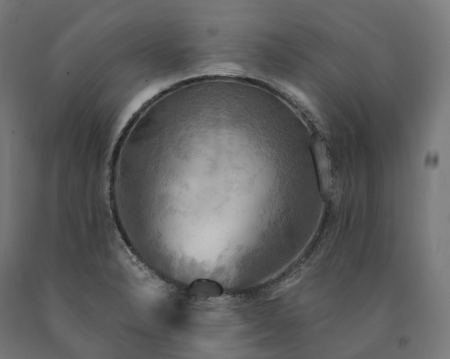 X0000090771326200708031644