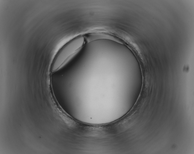 X0000090771328200708031644