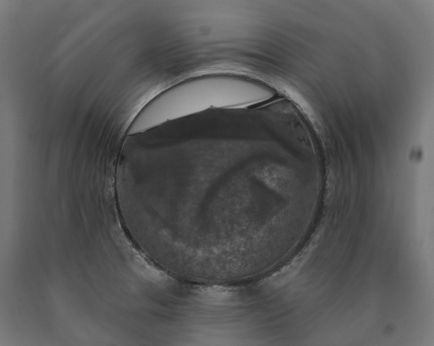 X0000090771329200708031644