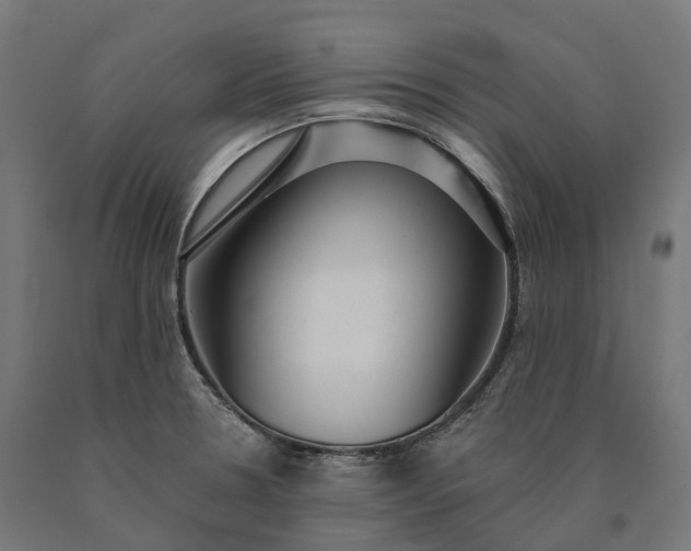 X0000090771330200708031644