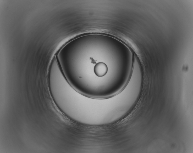 X0000090771332200708031644