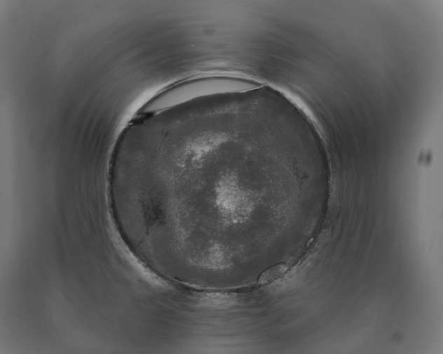 X0000090771333200708031644