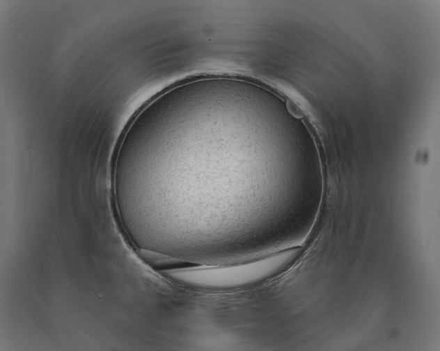X0000090771335200708031644