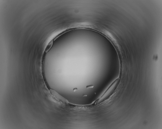 X0000090771336200708031644