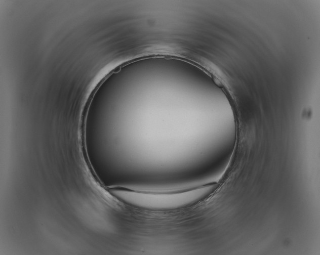 X0000090771339200708031644