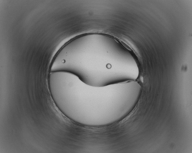 X0000090771340200708031644