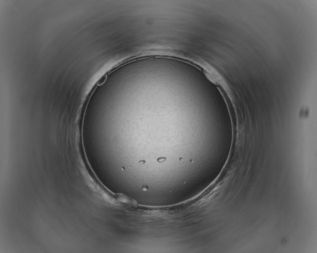 X0000090771341200708031644