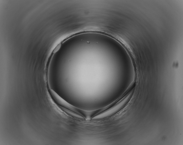 X0000090771342200708031644