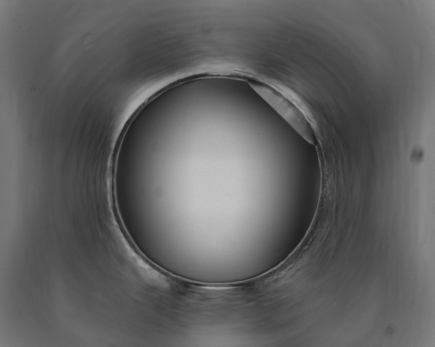 X0000090771343200708031644