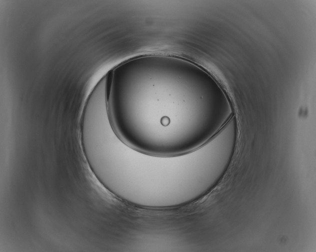 X0000090771344200708031644