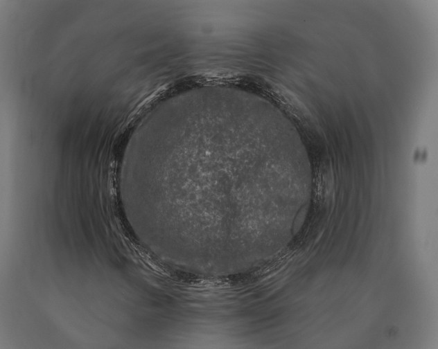 X0000090771346200708031643