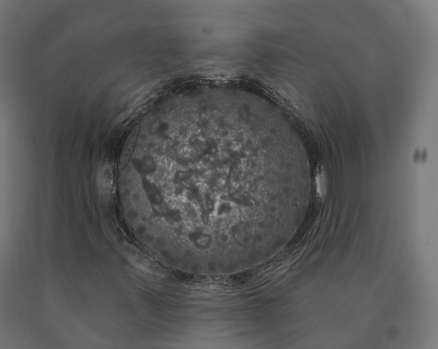X0000090771347200708031643