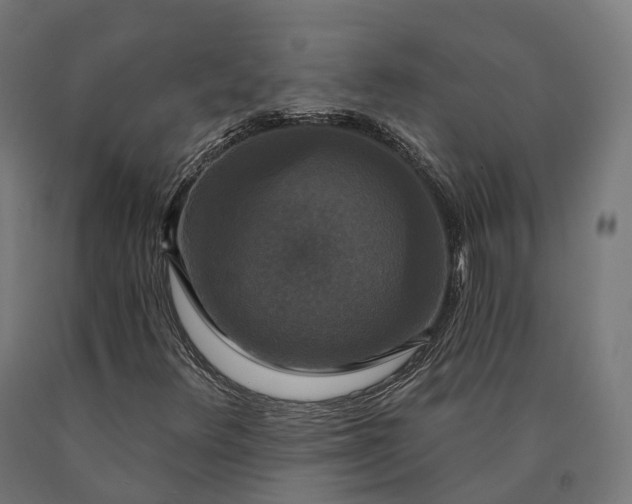 X0000090771348200708031643