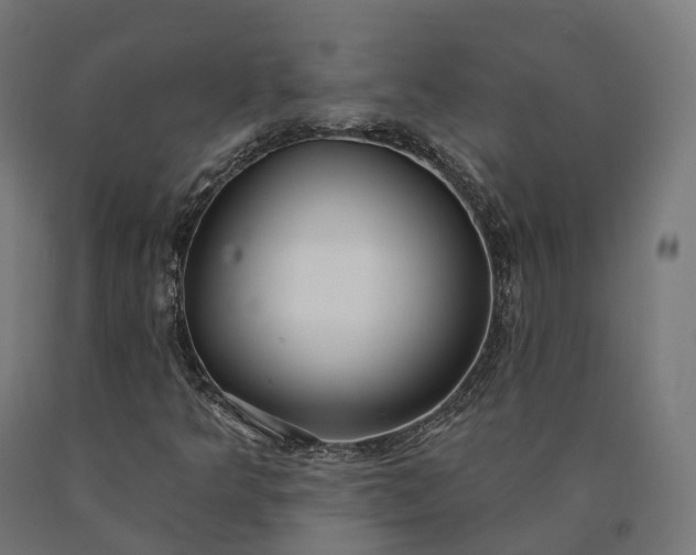X0000090771349200708031643