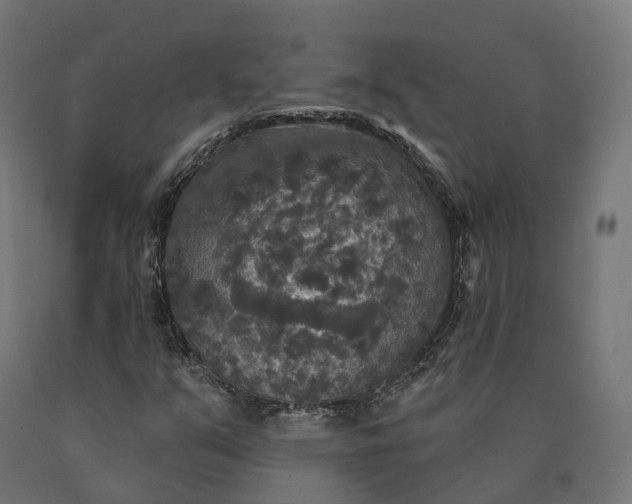 X0000090771351200708031643