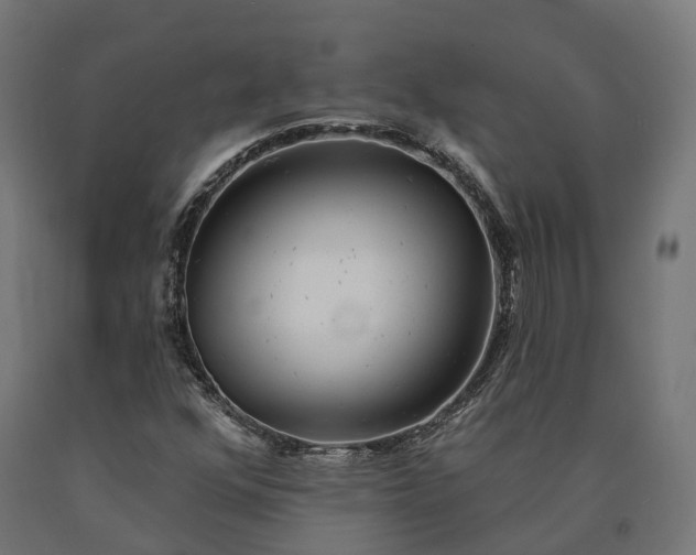 X0000090771352200708031643