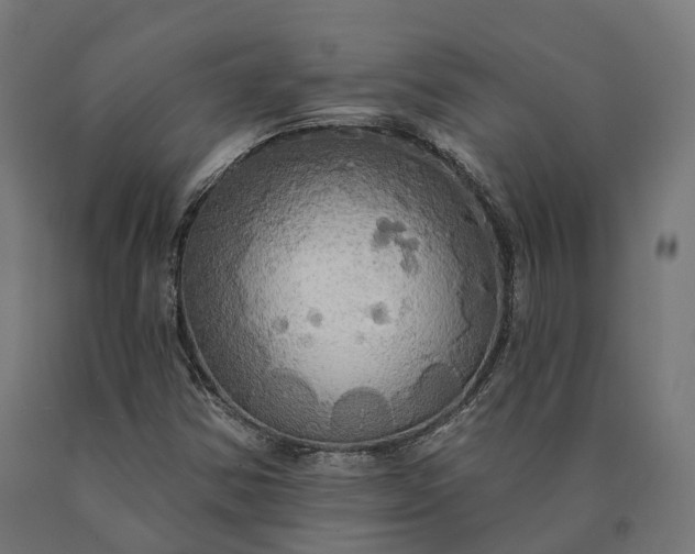 X0000090771354200708031643