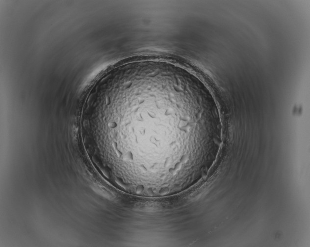 X0000090771355200708031643