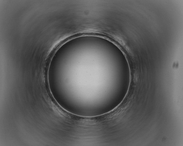 X0000090771356200708031643