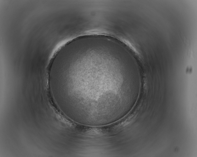 X0000090771358200708031643