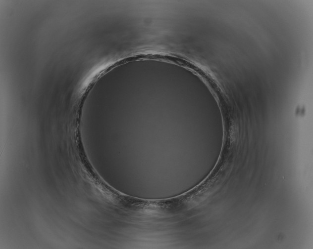 X0000090771359200708031643