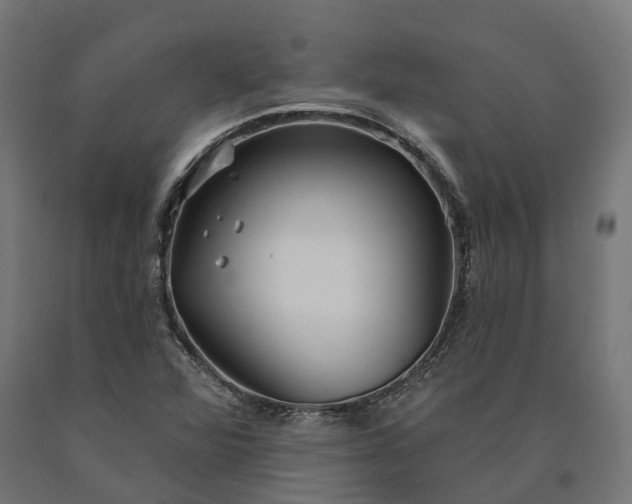 X0000090771360200708031643