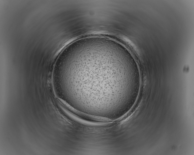 X0000090771361200708031643