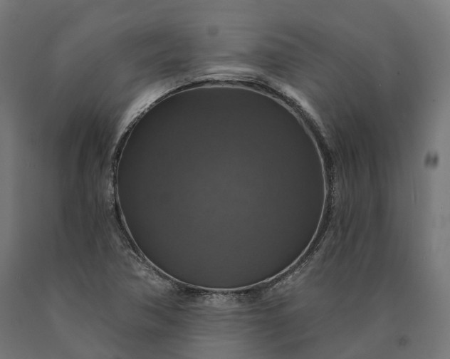 X0000090771362200708031643