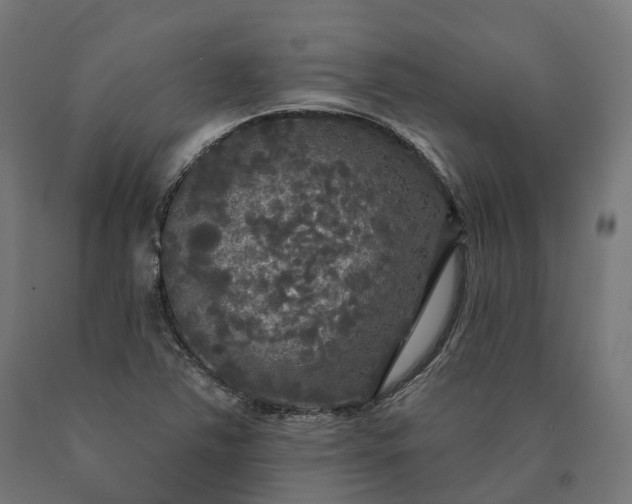 X0000090771363200708031643