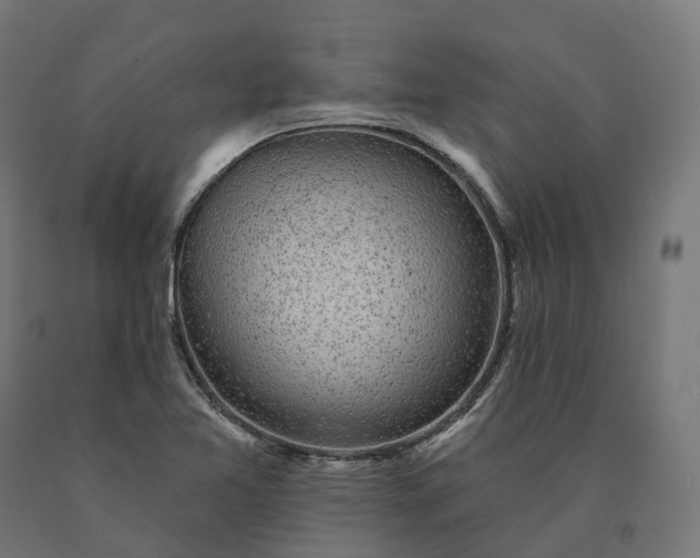 X0000090771365200708031643