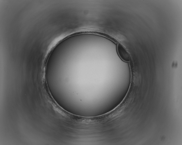 X0000090771366200708031643
