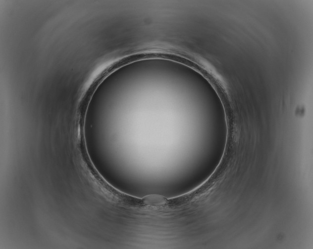 X0000090771368200708031643