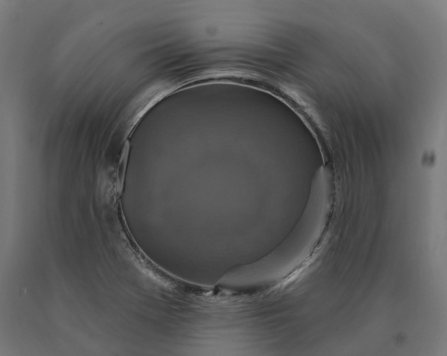 X0000090771369200708031643