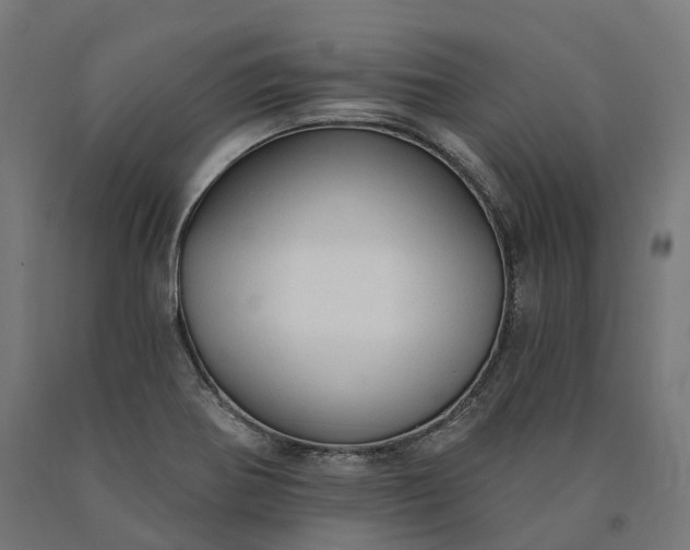 X0000090771370200708031643