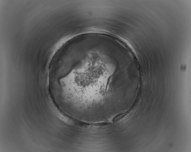 X0000090771371200708031643