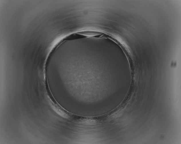X0000090771372200708031643