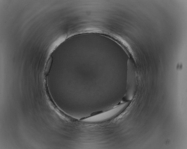 X0000090771373200708031643