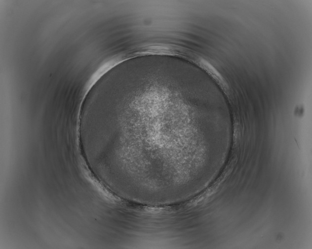 X0000090771378200708031643