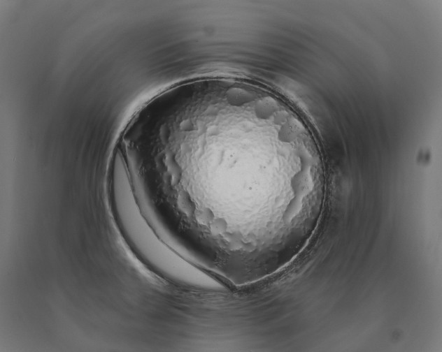 X0000090771379200708031643