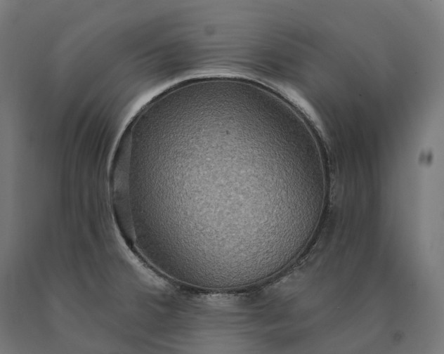X0000090771380200708031643