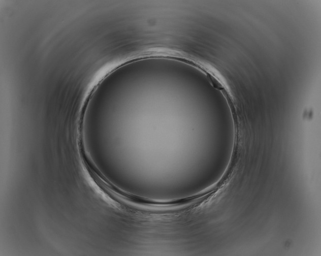 X0000090771381200708031643