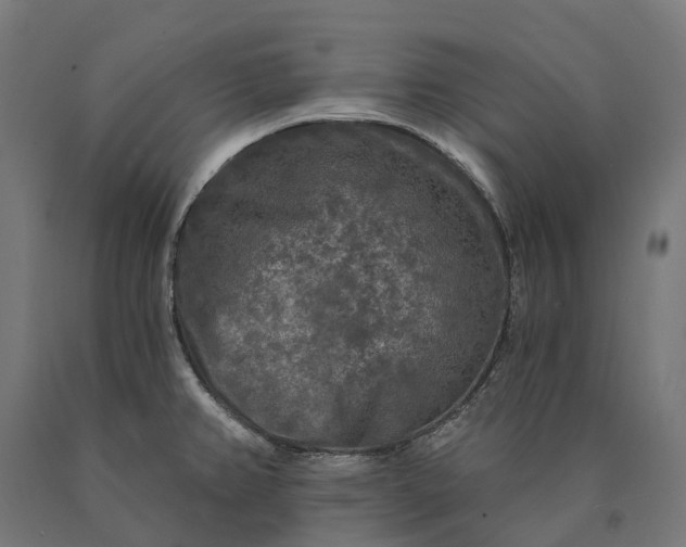 X0000090771382200708031643