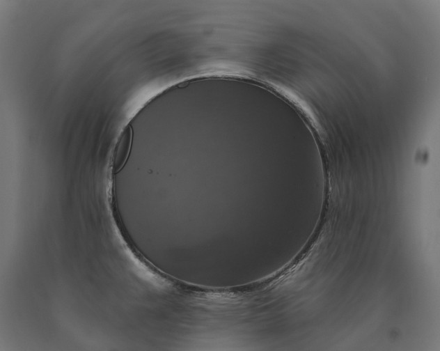 X0000090771383200708031643