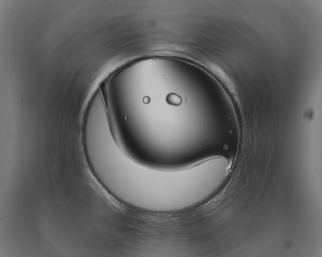 X0000090771384200708031643