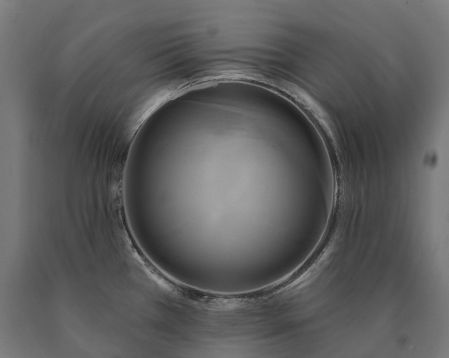X0000090771385200708031643