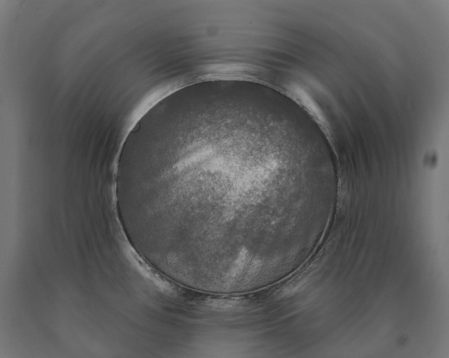 X0000090771386200708031643
