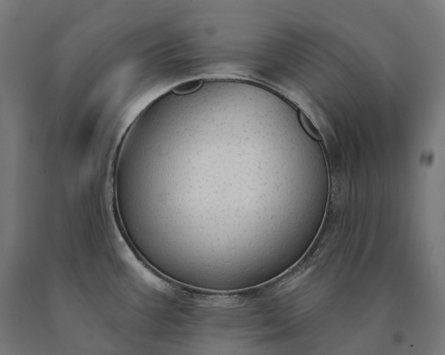 X0000090771387200708031643
