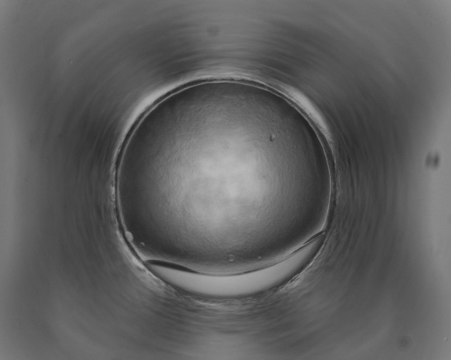 X0000090771388200708031643