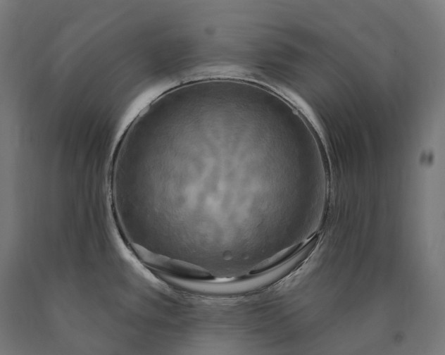 X0000090771389200708031643